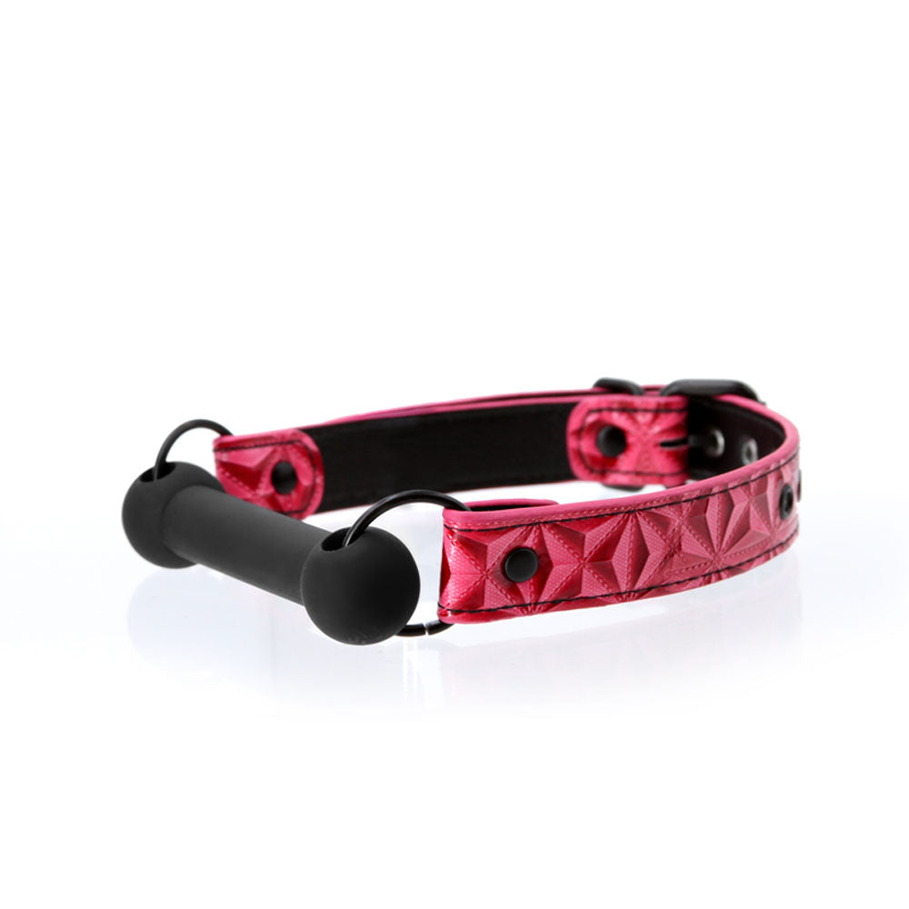 Sinful - Bar Gag - Pink by nsnovelties