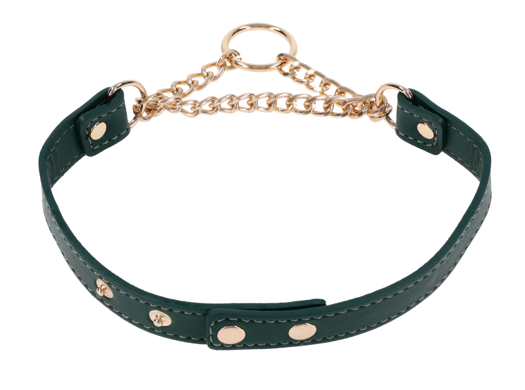 Sportsheets Indica Day Collar, Emerald Faux Leather (15–19 in) - SS10226