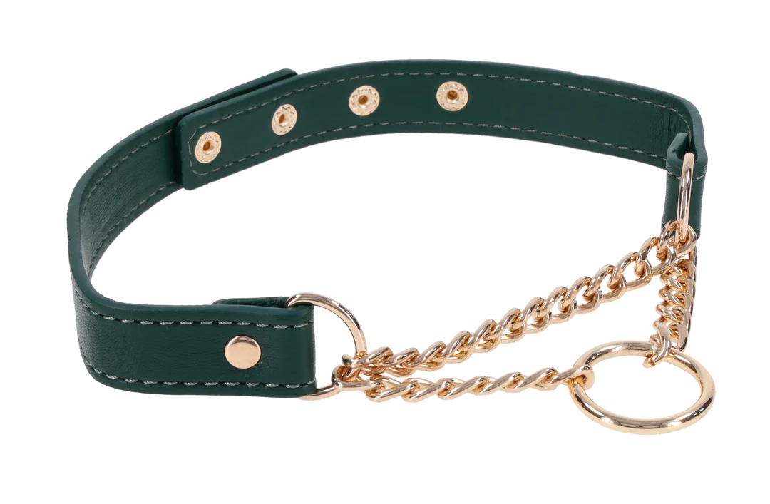 Sportsheets Indica Day Collar, Emerald Faux Leather (15–19 in) - SS10226