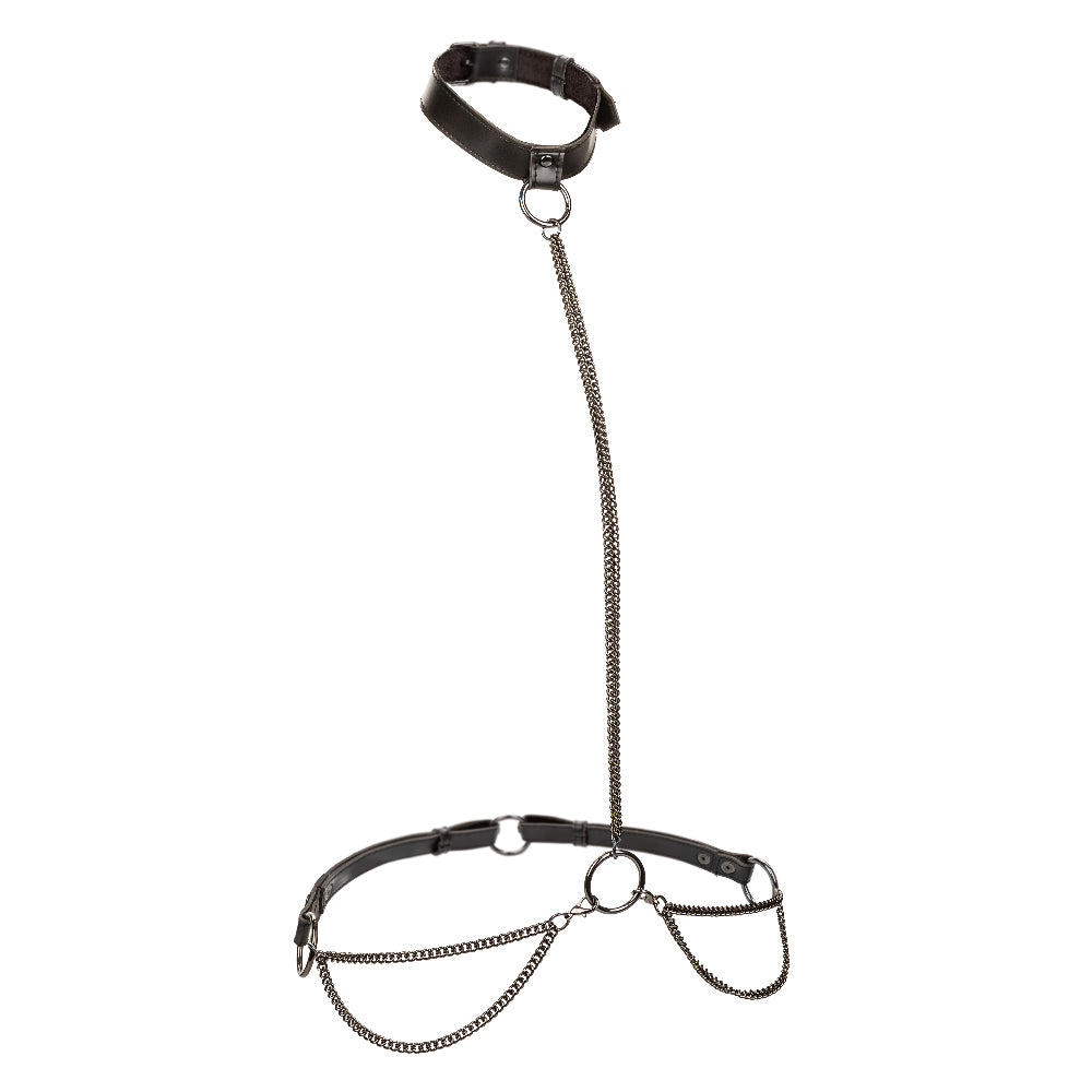 CalExotics Euphoria Plus-Size Chain Halter/Collar and Leash — Black - SE3101013