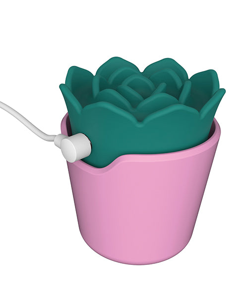 plusOne Succulent Arouser by Beacon Wellness Brands