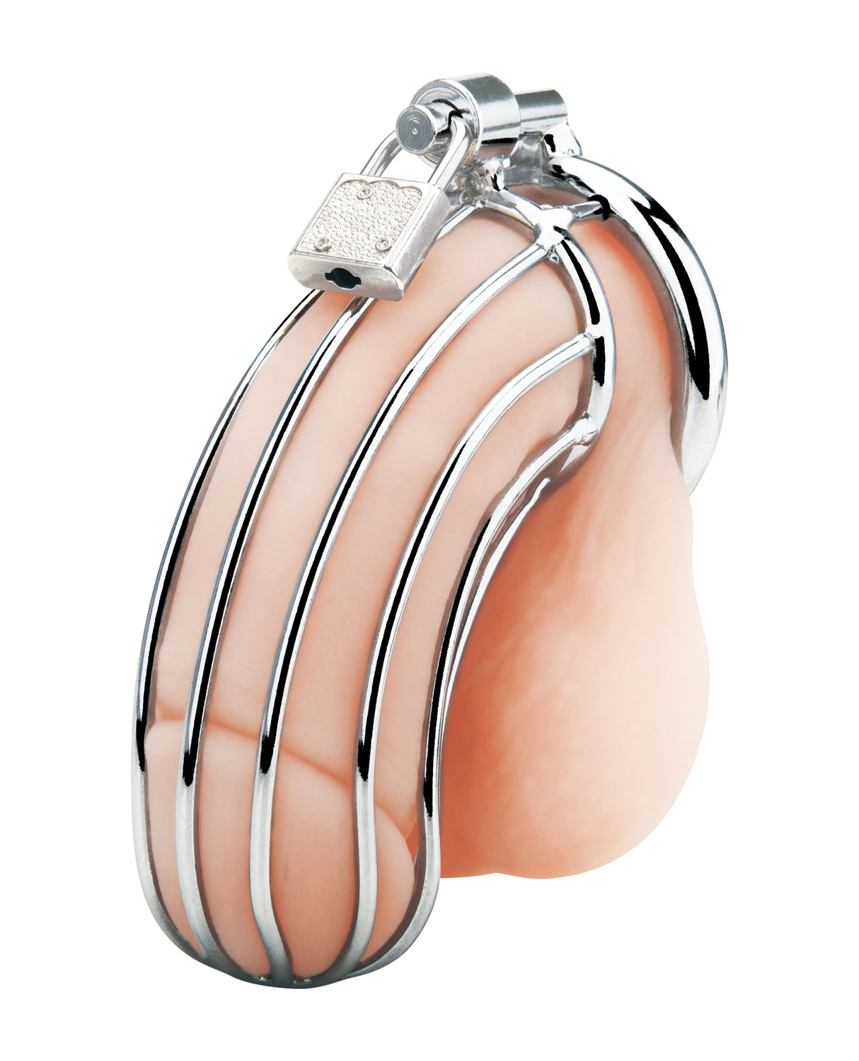 Blue Line Prisoner Cock Cage - Silver by Blue Line