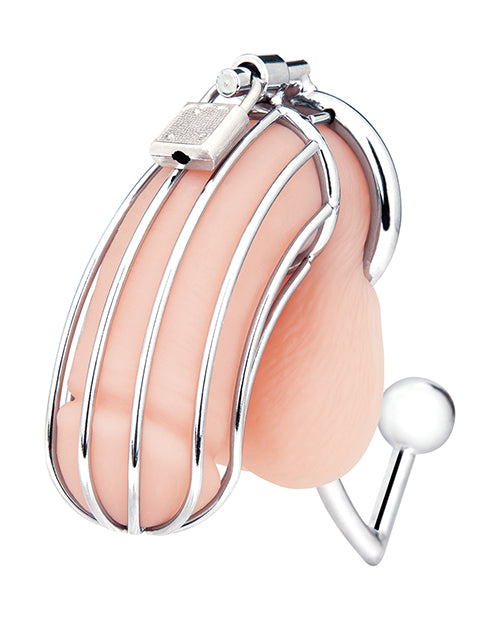 Blue Line Cock Cage w/Anal Stimulator - Silver by Blue Line