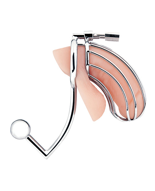 Blue Line Cock Cage w/Anal Stimulator - Silver by Blue Line