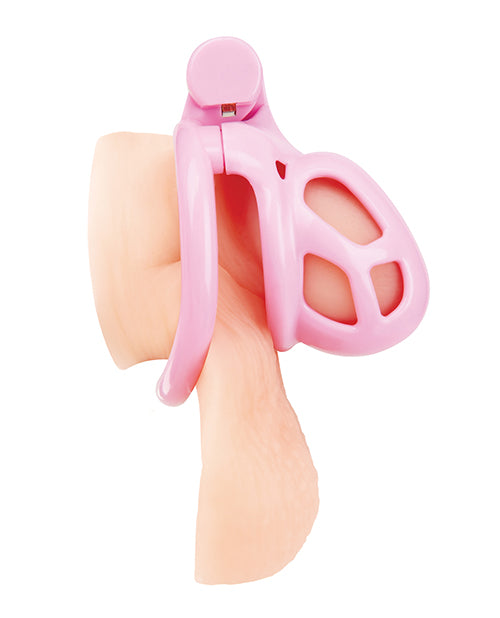 Small Pink Humiliation Acrylic Prisoner Cock Cage by Blue Line