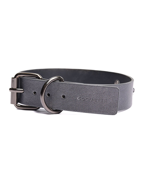 Pleasure Collection Gunmetal Glam Collar & Leash w/Removable Chain by Coquette Pleasure Collection