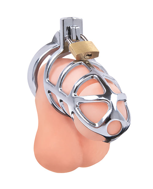 Lockmaster 3.75" Stainless Steel Prisoner Cock Cage - Silver by Lockmaster