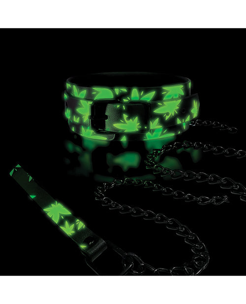Stoner Vibes Glow in the Dark Collar & Leash by Stoner Vibes