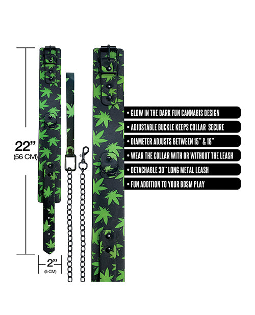 Stoner Vibes Glow in the Dark Collar & Leash by Stoner Vibes