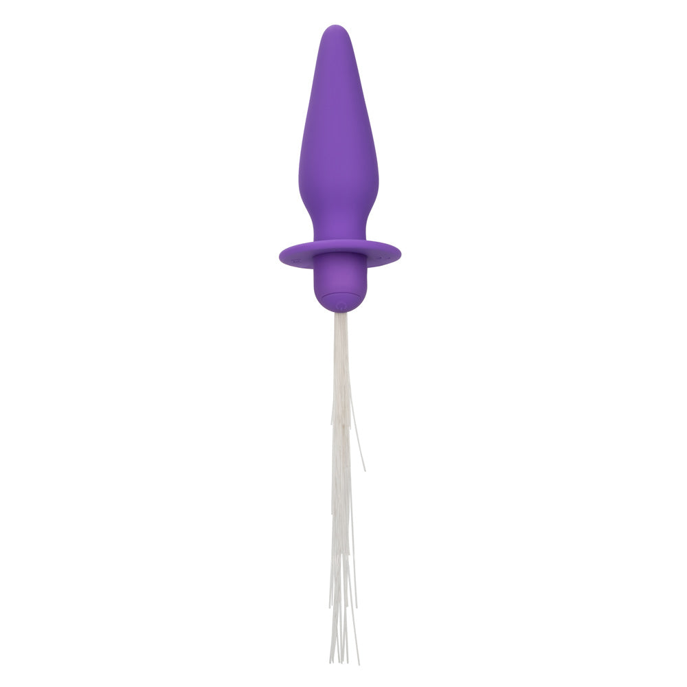 CalExotics Southern Lights Vibrating Light-Up Anal Probe — Purple - SE2655153