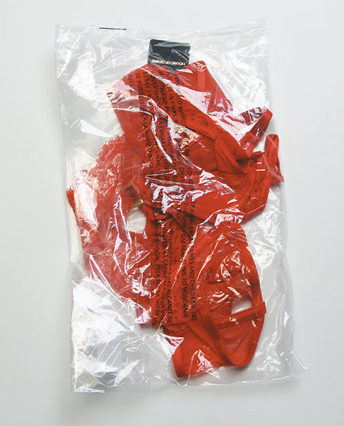 Nadia Lace & Mesh Cutout Teddy - Grenadine Dark Orange XL by House of Desire
