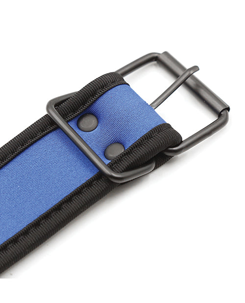 Plesur Neoprene Puppy Collar - Blue, D-Ring Choker