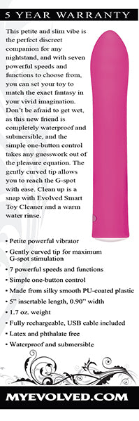 Rechargeable G- Spot by Evolved Novelties