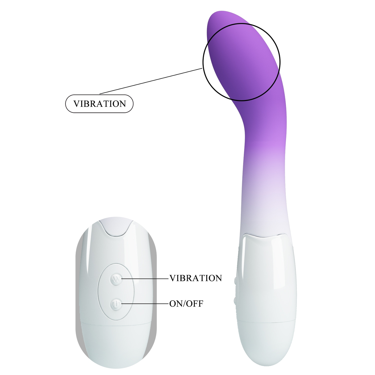 Pretty Love Bishop Curved G-Spot Vibrator — Purple Ombre - BI-014220-A6