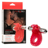 Couple's Raging Bull