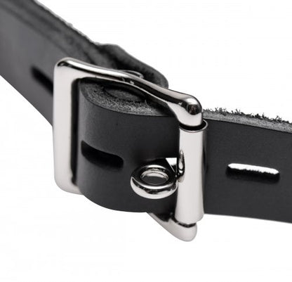 Feder Locking Open Mouth Gag by XR Brands