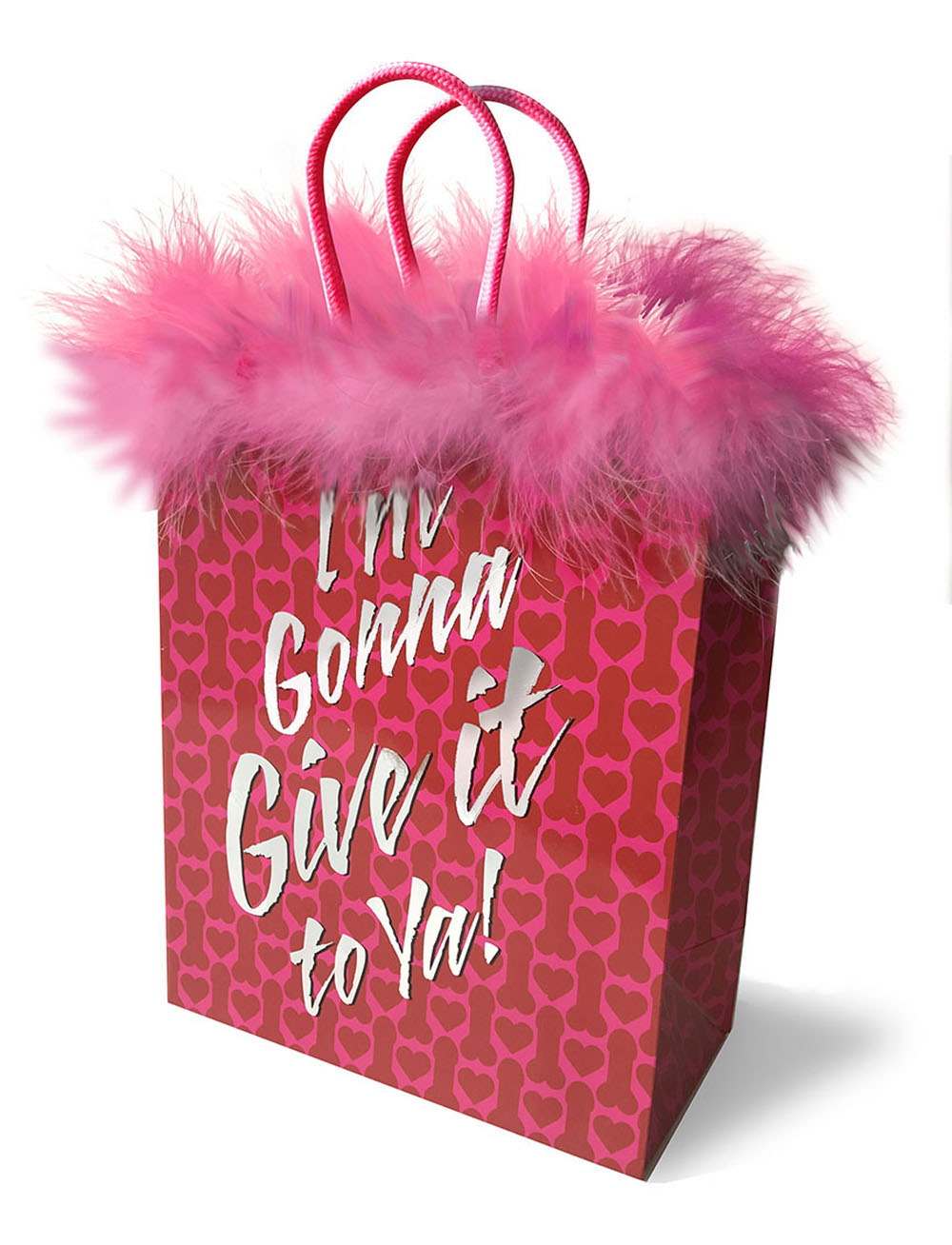 Little Genie I'm Gonna Give It to Ya! Medium Gift Bag - LG-LGP007