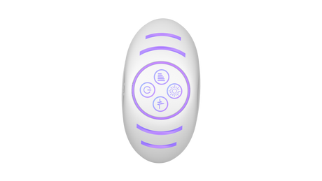 Illumination by Paradise Illuminated Butt Plug with App Control - PR5434
