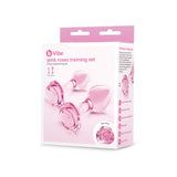 b-Vibe Pink Roses Glass Butt Plug Training Set — 2-Pack - BV2976