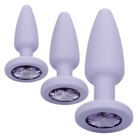 CalExotics First Time Crystal Booty Kit — 3-Piece Purple Silicone Anal Plugs - SE0004402