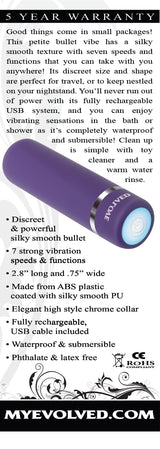 Evolved Novelties Purple Passion Petite Bullet Vibrator, 2.8 in - EN-RS-1004-2