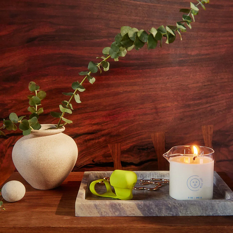 Dame Wild Lust Plant-Based Massage Oil Candle - DM1555