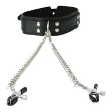 Collar With Nipple Clamps by Sportsheets