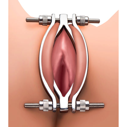 Stainless Steel Pussy Clamp - Bulk by XR Brands