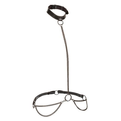 CalExotics Euphoria Plus-Size Chain Halter/Collar and Leash — Black - SE3101013