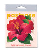 Pastease Tropical Vibrant Hawaiian Hibiscus Botanical Flower - Red O/S by Pastease