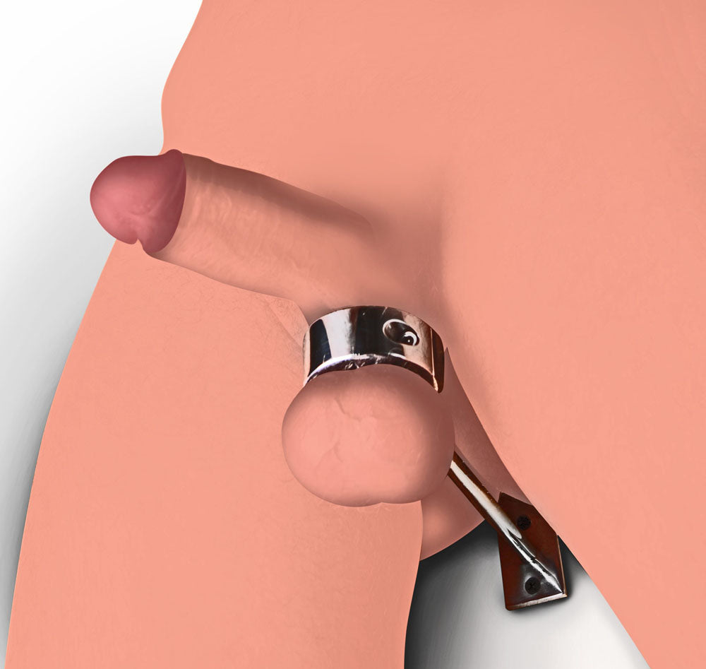 Heavy Locking Ball Weight With Bar by XR Brands
