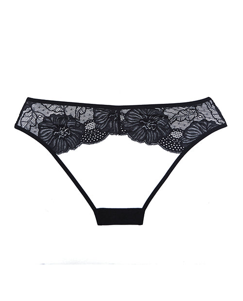 Adore Kiss Mesh & Lace Open Panty Black O/S by Adore
