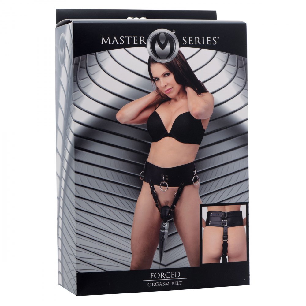 Forced Orgasm Belt - image 5