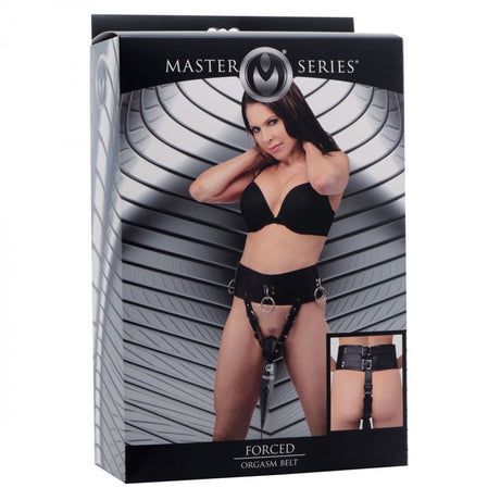 Forced Orgasm Belt - image 5