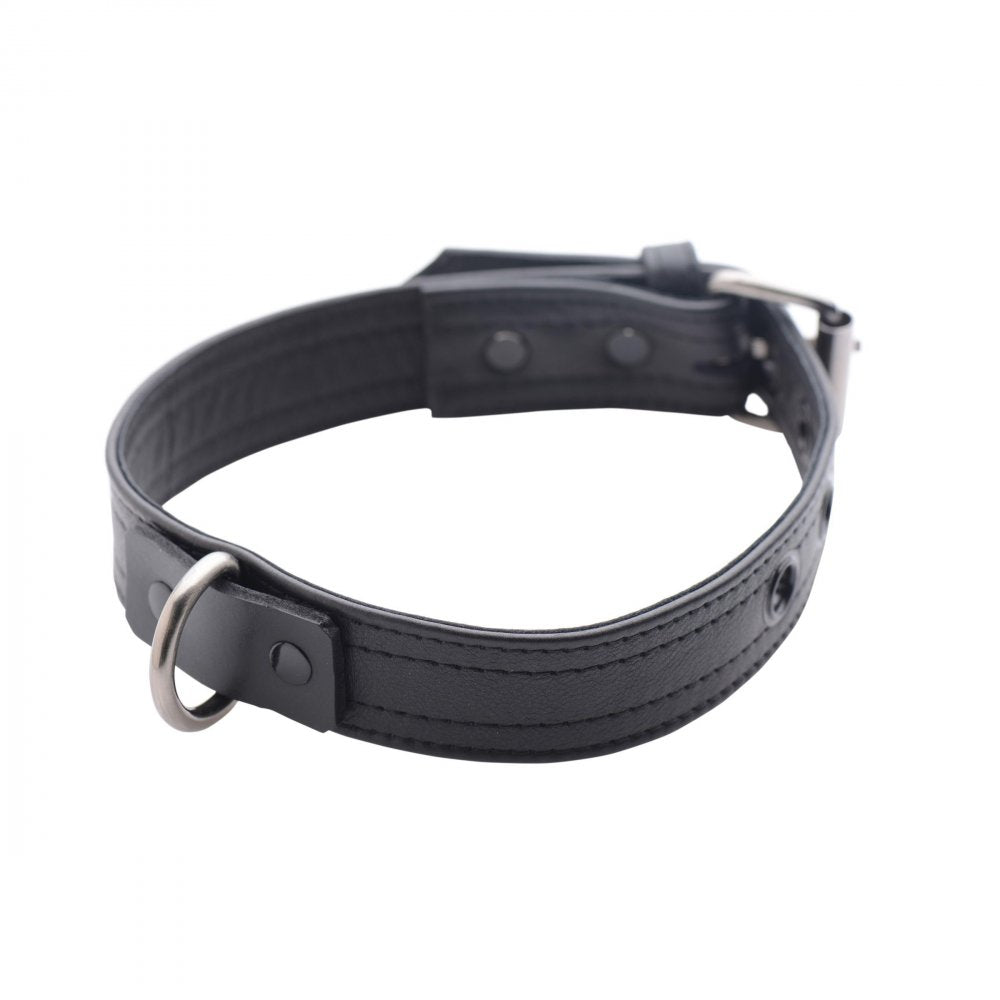 Strict Leather Luxury Locking Collar - image 2