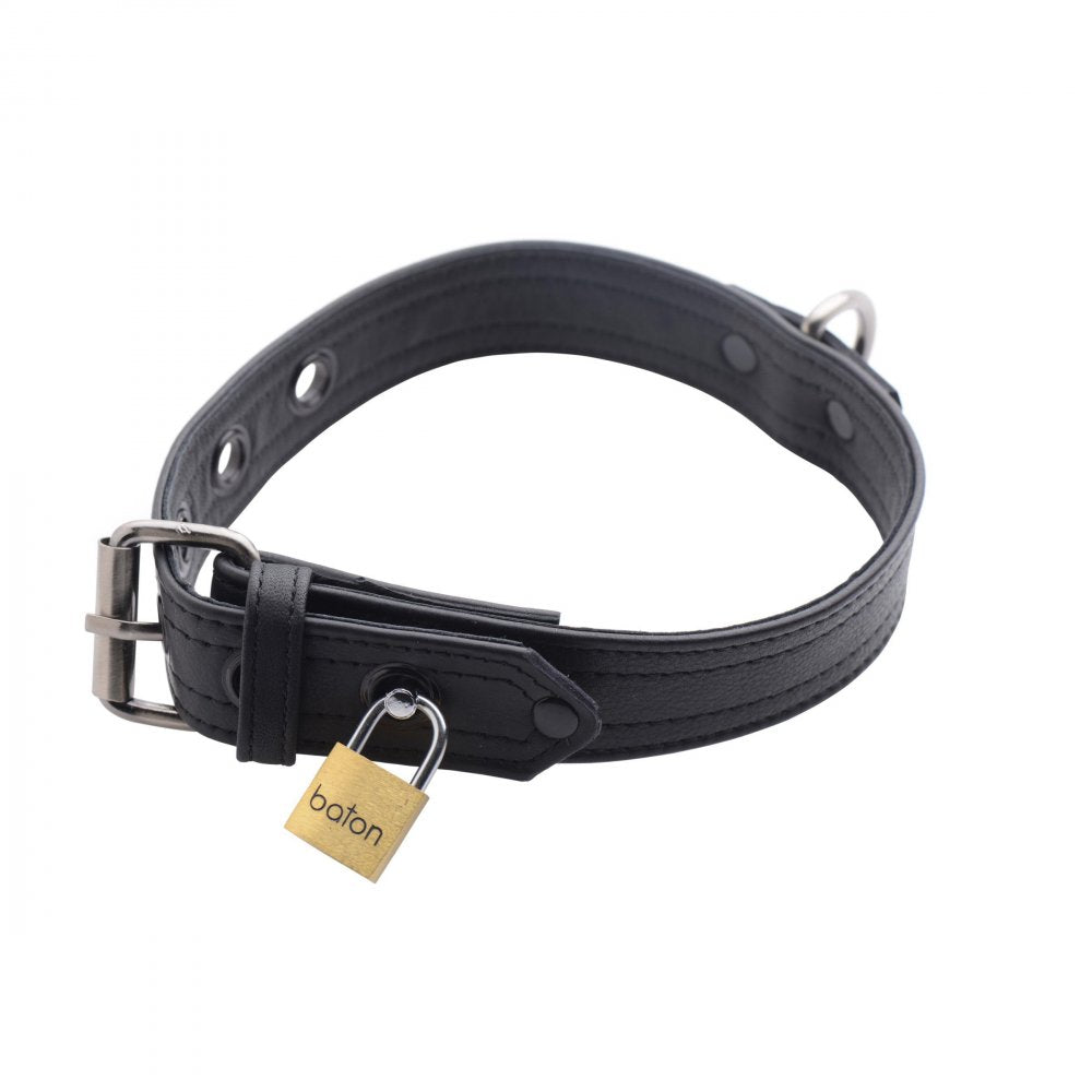 Strict Leather Luxury Locking Collar - image 3