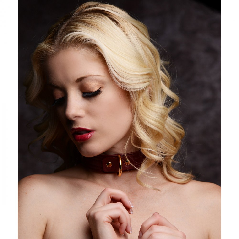 Strict Leather Luxury Burgundy Locking Collar - image 1