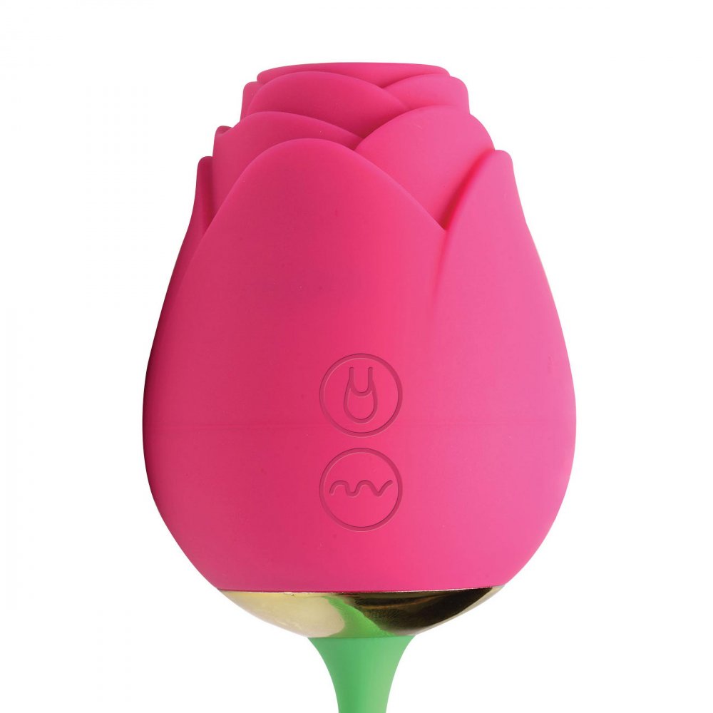 Bloomgasm Rose Duet Sucking Rose and Vibrating Rosette - image 6