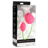 Bloomgasm Rose Duet Sucking Rose and Vibrating Rosette - image 7