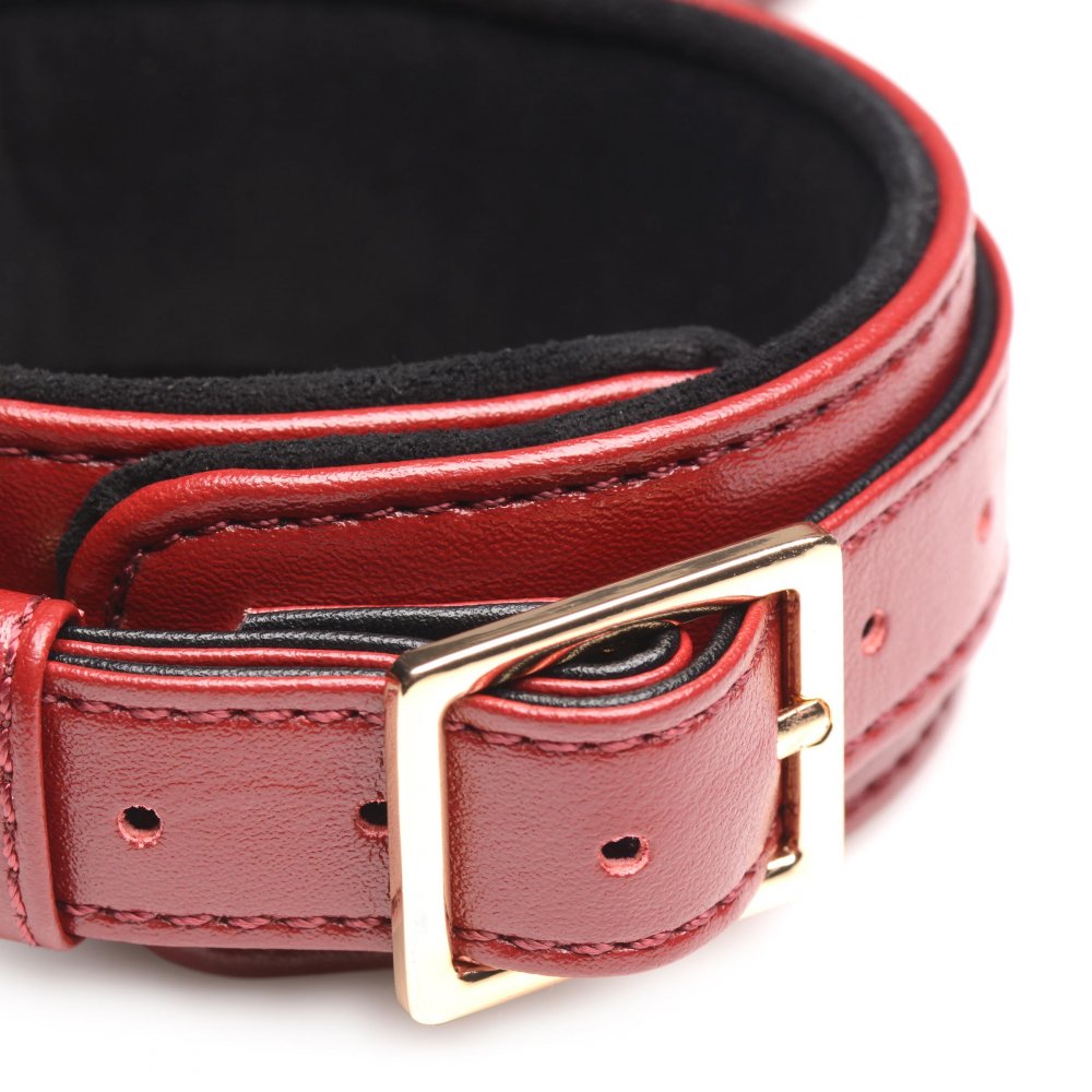 6 Piece Burgundy Bondage Set - image 9