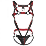 Heathen's Male Body Harness - S/M - image 5