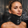 Master Series Rigid Locking Posture Collar with Chin Brace, Black, 17–20.25 in - 848518057471