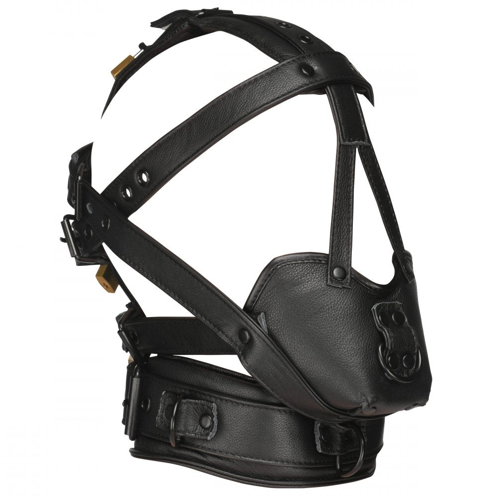 Lockable Head Harness with Muzzle - image 4