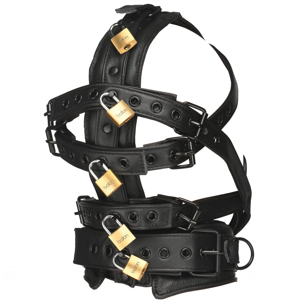 Lockable Head Harness with Muzzle - image 5