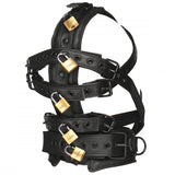 Lockable Head Harness with Muzzle - image 5