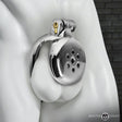 Inverted Chastity Cage - image 1