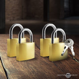 4 Pack Lock Set - image 1