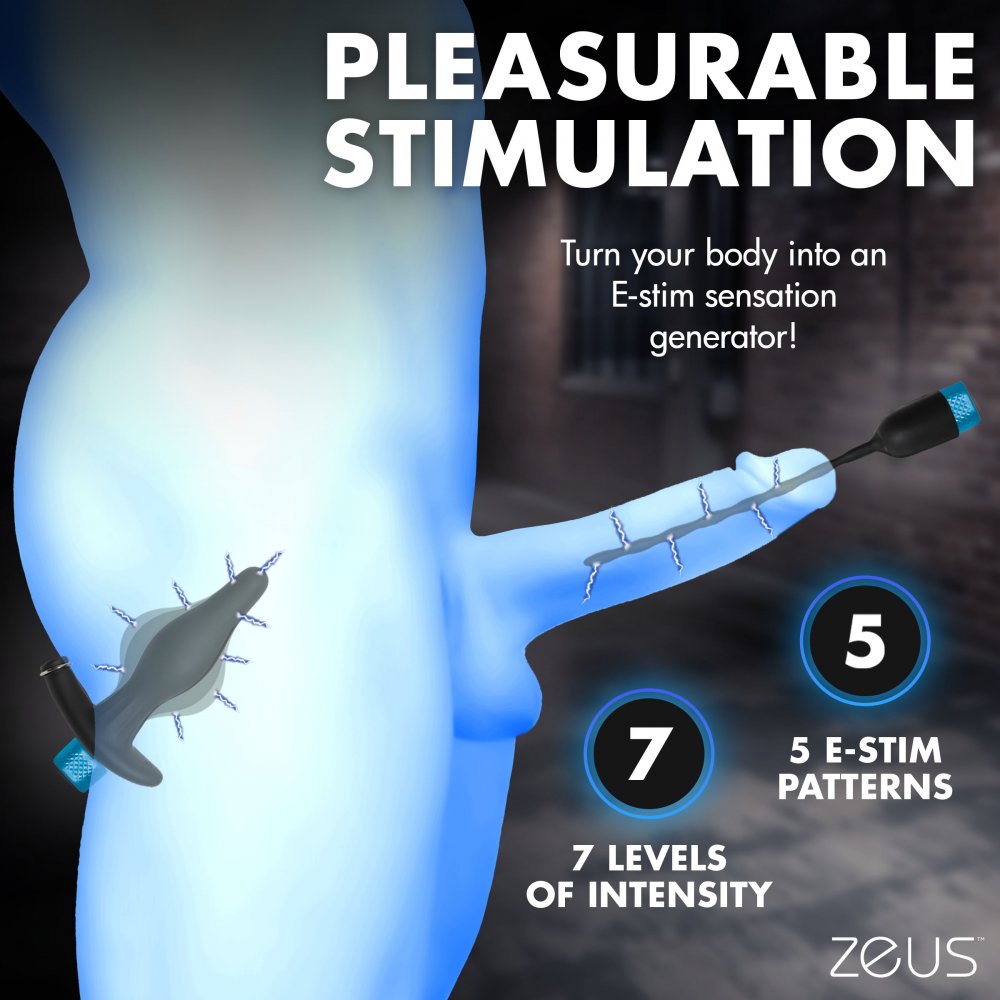 Inflatable Anal Plug and Urethral Sound E-Stim Kit - image 4
