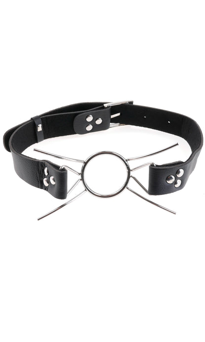 Fetish Fantasy Extreme Spider Gag by Pipedream