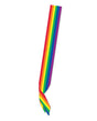 Pride Satin Sash - Rainbow by Beistle